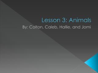 Lesson 3: Animals