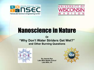 Nanoscience in Nature