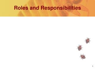 Roles and Responsibilities