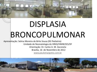 DISPLASIA BRONCOPULMONAR Apresentação: Selma Moreira de Brito Sousa (R2 Pediatria)
