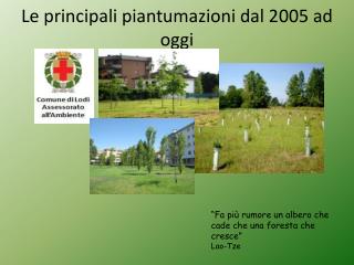 Le principali piantumazioni dal 2005 ad oggi