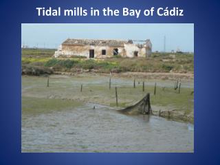 Tidal mills in the Bay of Cádiz