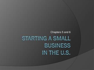 Starting a Small Business in the U.S.