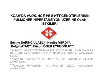 KOAH’DA eNOS , ACE VE 5-HTT GENOTİPLERİNİN PULMONER HİPERTANSİYON ÜZERİNE OLAN ETKİLERİ