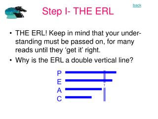 Step I- THE ERL