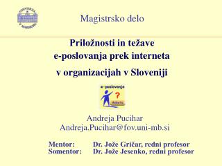 Priložnosti in težave e-poslovanja prek interneta v organizacijah v Sloveniji
