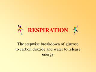 RESPIRATION