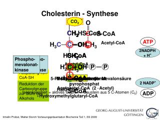 S-CoA