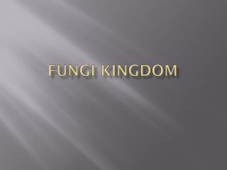 Fungi Kingdom