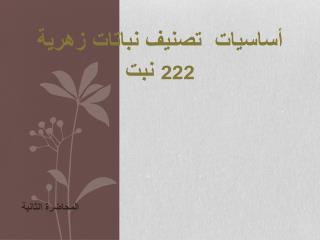 أساسيات تصنيف نباتات زهرية 222 نبت