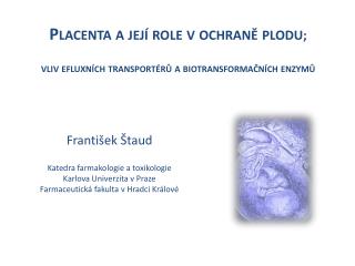 Placenta a její role v ochraně plodu ; vliv efluxních transportérů a biotransformačních enzymů