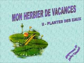 MON HERBIER DE VACANCES