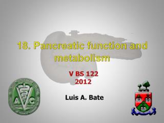 18. Pancreatic function and metabolism