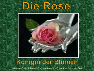 Die Rose