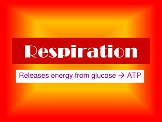 Respiration