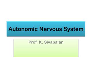 Autonomic Nervous System