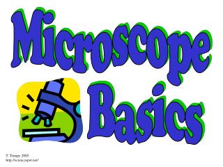 Microscope