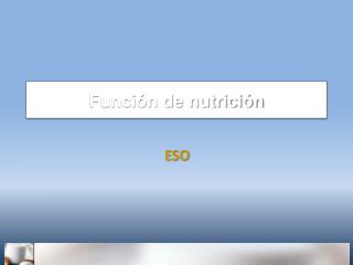 Función de nutrición