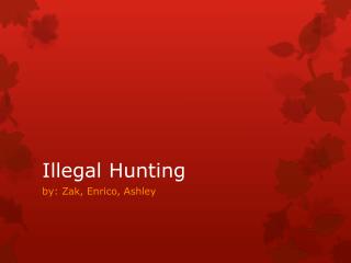 Illegal Hunting