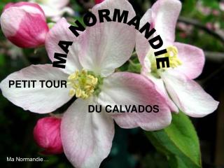 PETIT TOUR
