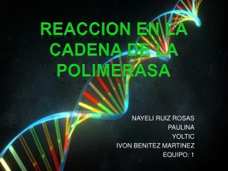 NAYELI RUIZ ROSAS PAULINA YOLTIC IVON BENITEZ MARTINEZ EQUIPO: 1