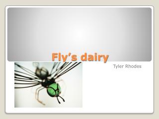 Fly’s dairy