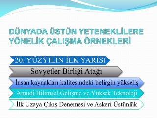 DÜNYADA ÜSTÜN YETENEKLİLERE YÖNELİK ÇALIŞMA ÖRNEKLERİ