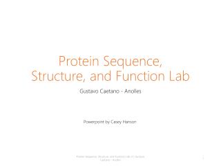 Protein Sequence, Structure, and Functio n Lab