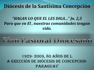 Diócesis de la Santísima Concepción