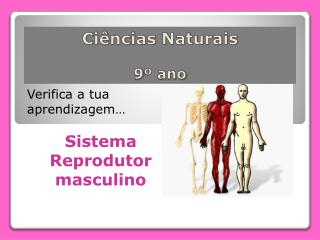 Ciências Naturais 9º ano