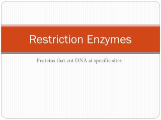 Restriction Enzymes