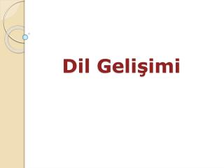 Dil Gelişimi