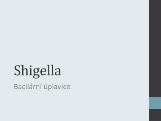 Shigella