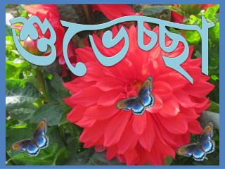 শুভেচ্ছা