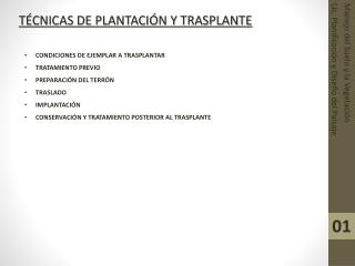 TÉCNICAS DE PLANTACIÓN Y TRASPLANTE