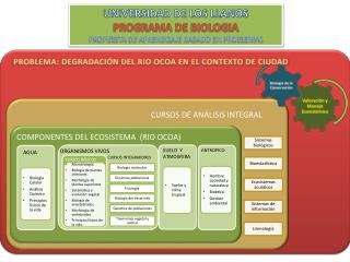 COMPONENTES DEL ECOSISTEMA (RIO OCOA)