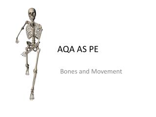 AQA AS PE
