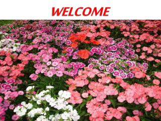 WELCOME