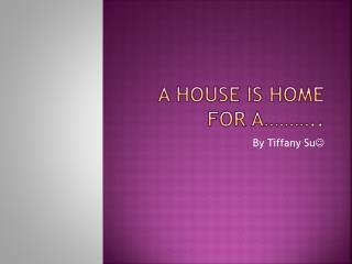 A house is home for a………..