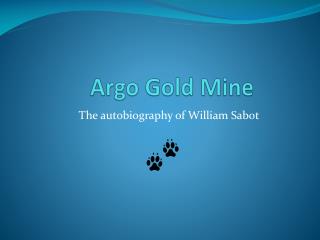 Argo Gold Mine