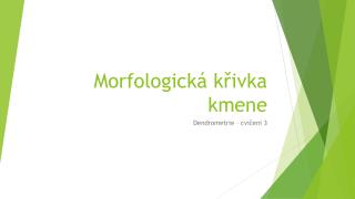 Morfologická křivka kmene