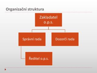 Organizační struktura