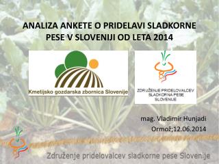 ANALIZA ANKETE O PRIDELAVI SLADKORNE PESE V SLOVENIJI OD LETA 2014