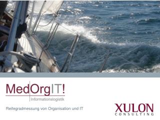 Reifegradmessung von Organisation und IT