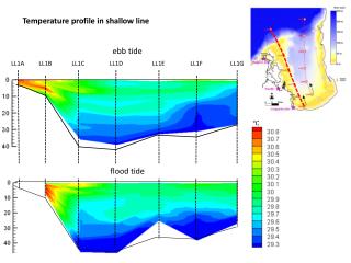 Temperature profile in shallow line