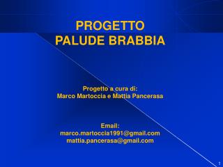 PROGETTO PALUDE BRABBIA Progetto a cura di: Marco Martoccia e Mattia Pancerasa Email: