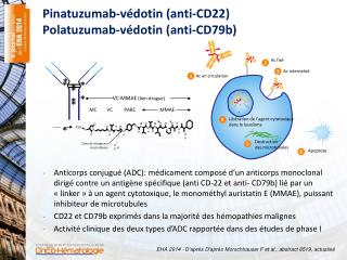 Pinatuzumab-védotin (anti-CD22) Polatuzumab-védotin (anti-CD79b )