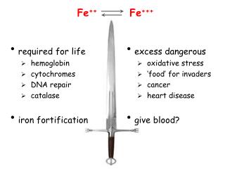 required for life hemoglobin cytochromes DNA repair catalase iron fortification