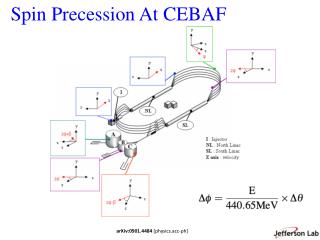 Spin Precession At CEBAF