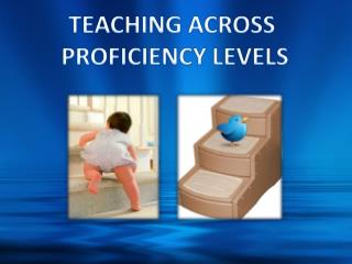 STUDENTS’ PROFICIENCY LEVELS